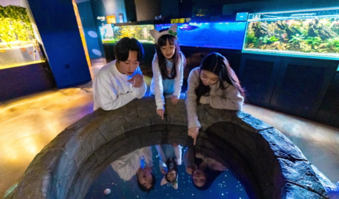 和談植物園+Starfield購物中心+Zoolung Zoolung 1日遊（首爾出發）（3月29日~9月30日）